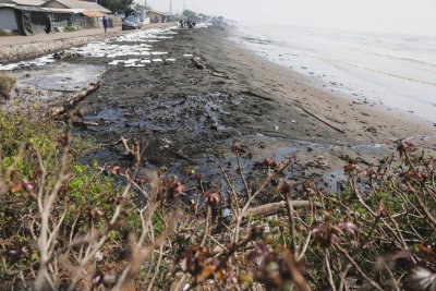 Limbah Minyak di Pantai Karawang