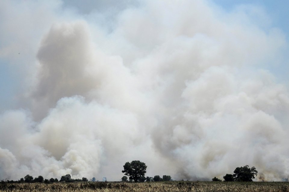 Areal lahan gambut yang terbakar di desa Rambutan, Ogan Ilir, Sumatera Selatan, Rabu (7/8/2019). Berdasarkan data BPBD Sumatera Selatan kebakaran hutan dan lahan di Sumatera Selatan mencapai 257,9 hektar. ANTARA FOTO/Ahmad Rizki Prabu