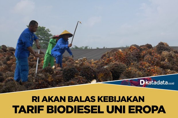 Biodiesel uni eropa