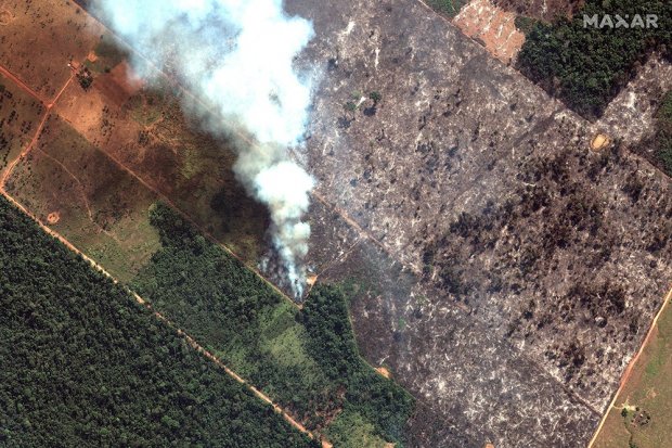Gambar satelit menunjukkan asap mengepul dari kebakaran hutan hujan Amazon di Negara Bagian Rondonia, di barat daya Porto Velho, Brasil di lembah sungai Amazon bagian atas pada 15 Agustus 2019. Gambar diambil pada 15 Agustus 2019.