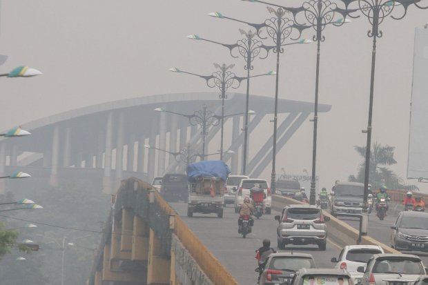 Indonesia-Malaysia Saling Tuding soal Kabut Asap Kebakaran Hutan - Nasional  Katadata.co.id