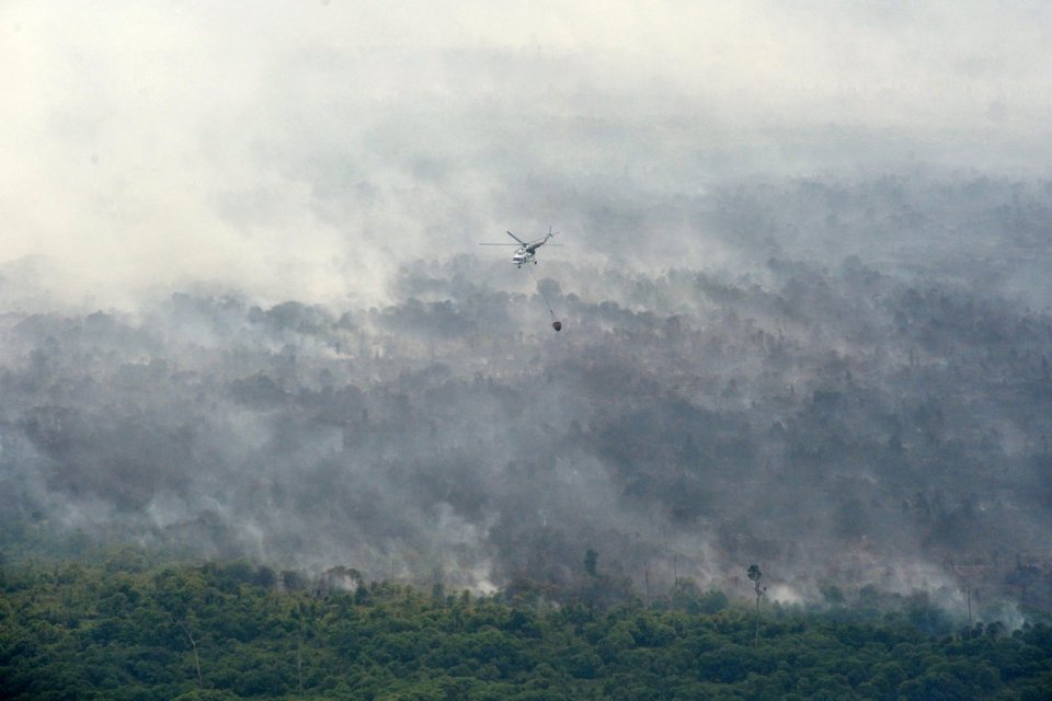 Helikopter Super Puma milik Asia Pulp & Paper (APP) Sinar Mas Forestry melakukan "water bombing" di Muara Medak, Bayung Lencir, Musi Banyuasin, Sumsel, Rabu (21/8/2019). APP Sinar Mas Forestry menyiagakan dan mengoperasikan 10 unit helikopter dan p