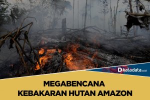 kebakaran hutan amazon
