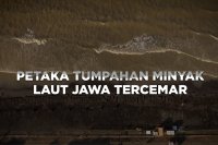 Petaka Tumpahan Minyak
