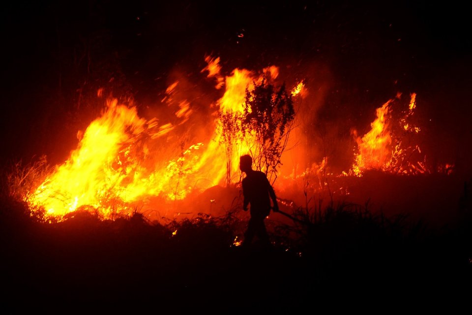 kementerian lingkungan hidup dan kehutanan kritik pemda soal kebakaran hutan dan lahan (karhutla).
