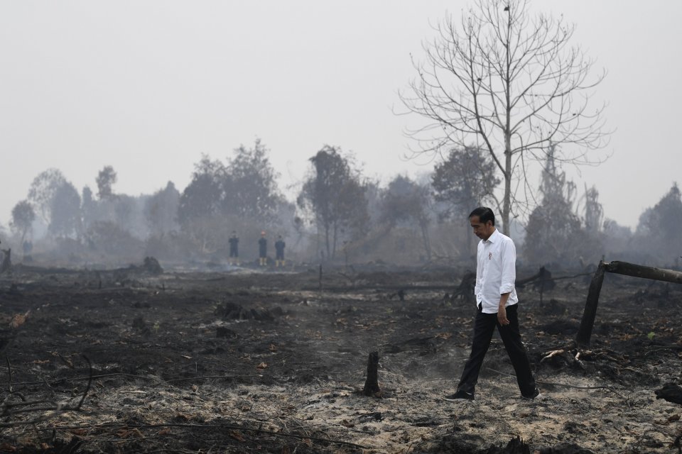 Presiden Joko Widodo meninjau penanganan kebakaran lahan di Desa Merbau, Kecamatan Bunut, Pelalawan, Riau, Selasa (17/9/2019). 
