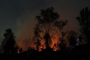 Pemadaman karhutla di Riau hingga malam hari