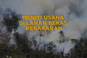 kebakaran hutan