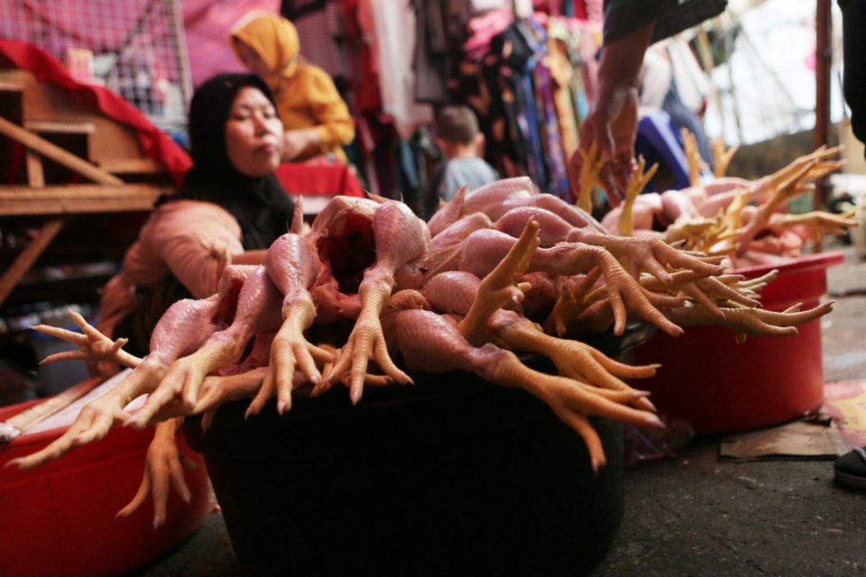 Ilustrasi perdagangan ayam di Pasar Minggu, Jakarta (14/10/2019). Saat ini, daging ayam ukuran sedang dijual seharga Rp 37 ribu per kgnya.