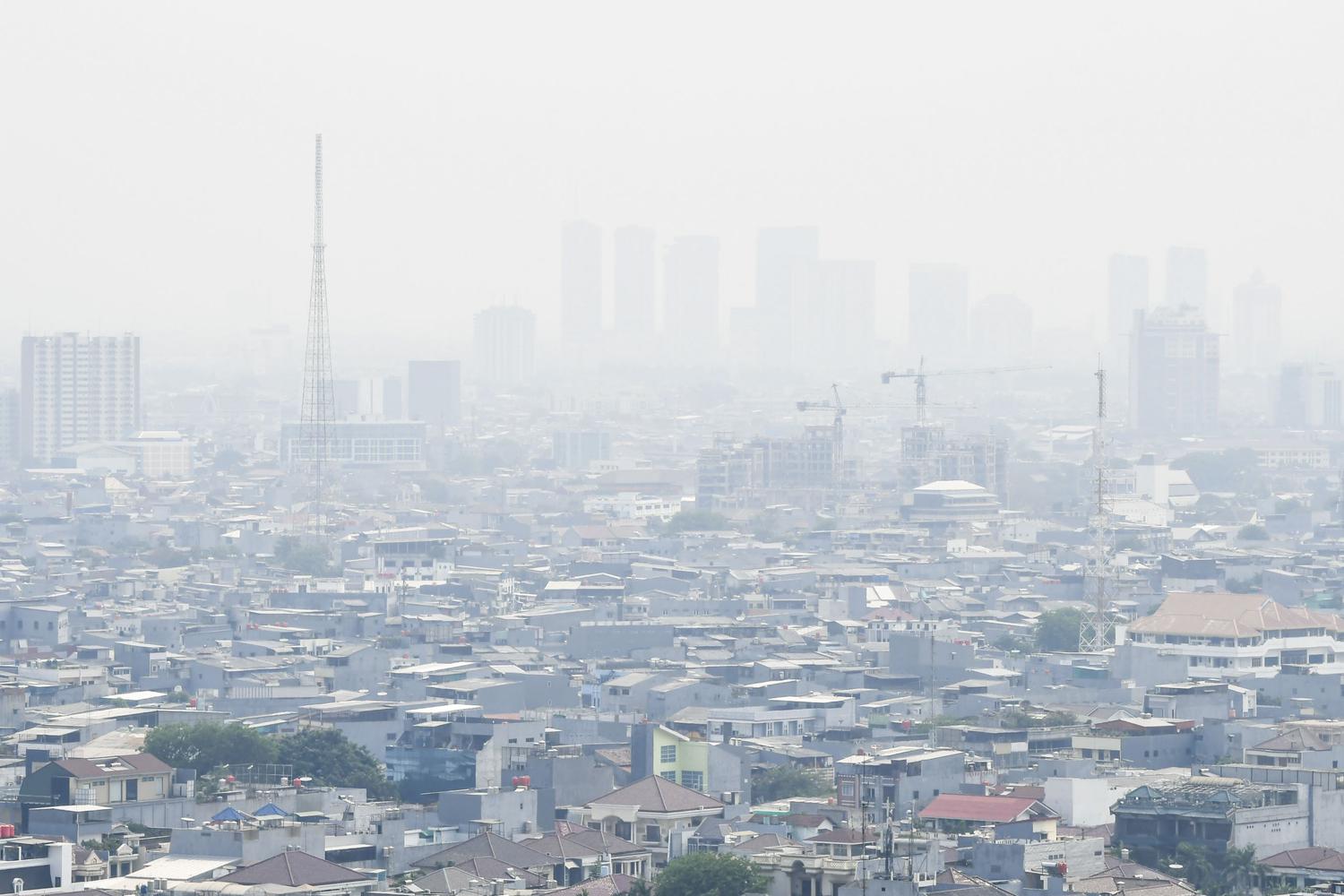 polusi udara, who, acuan kualitas udara