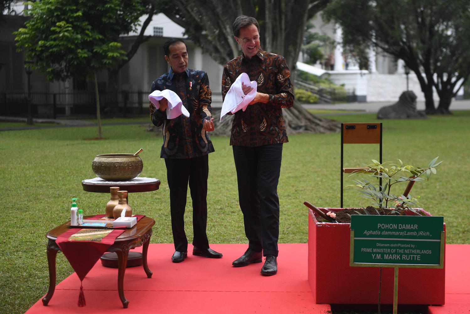 Presiden Joko Widodo (kiri) bersama PM Belanda Mark Rutte mengelap tangan usai menanam pohon damar di sela pertemuan di Istana Bogor, Jawa Barat, Senin (7/10/2019). 