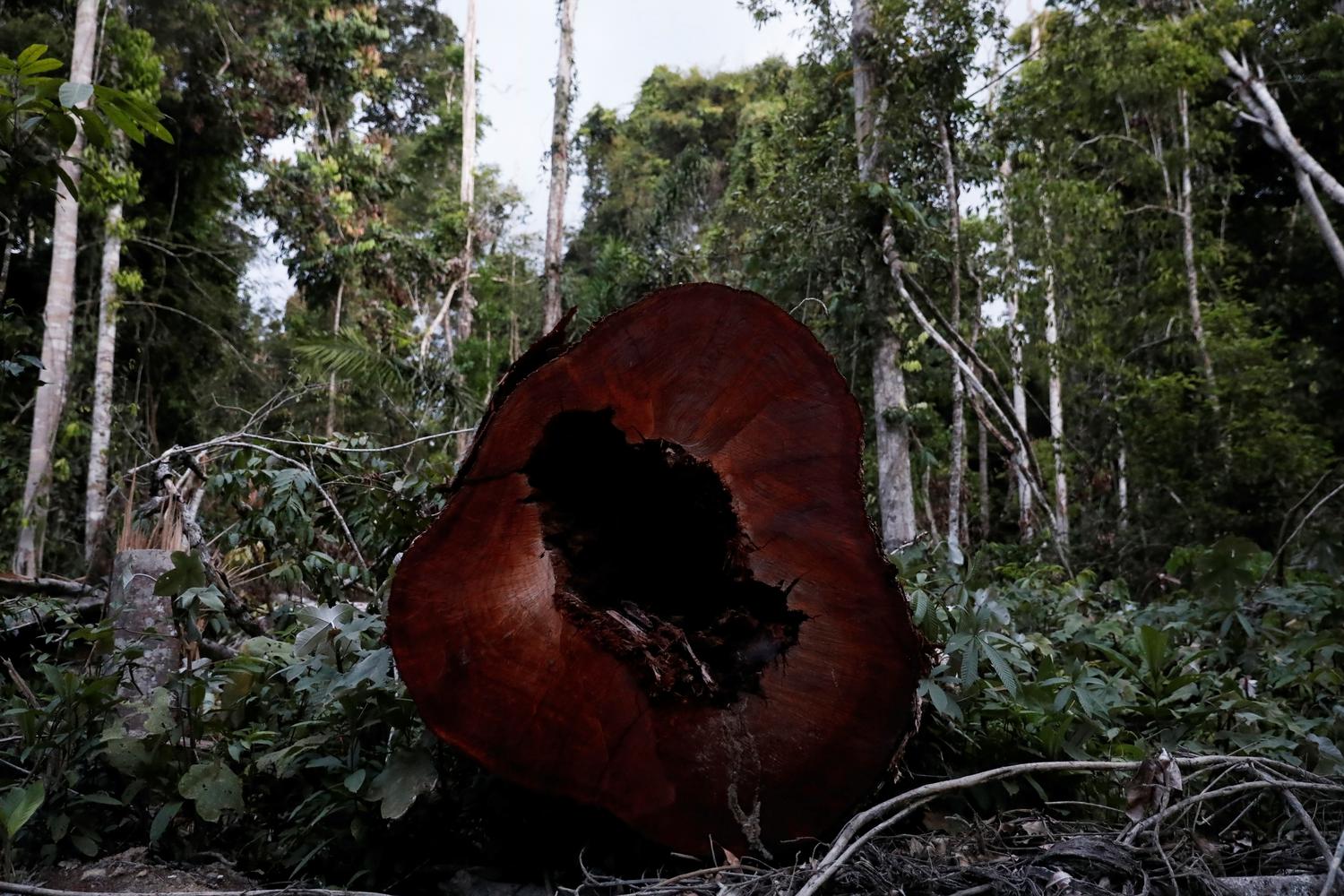 BRAZIL-ENVIRONMENT/WILDFIRES