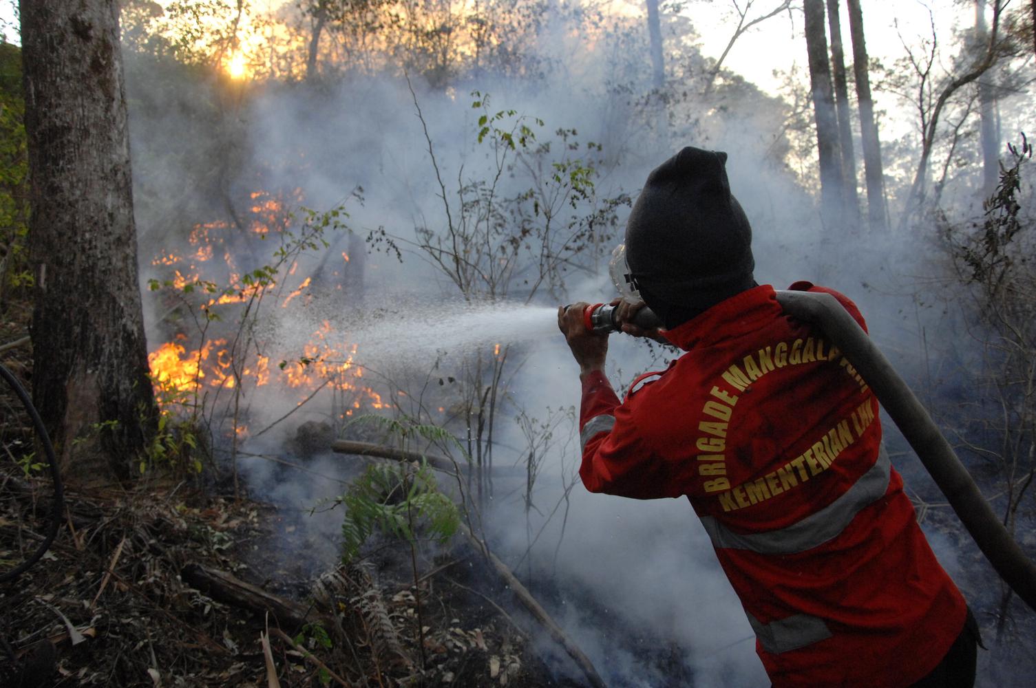 PEMADAMAN KEBAKARAN HUTAN PINUS GOWA