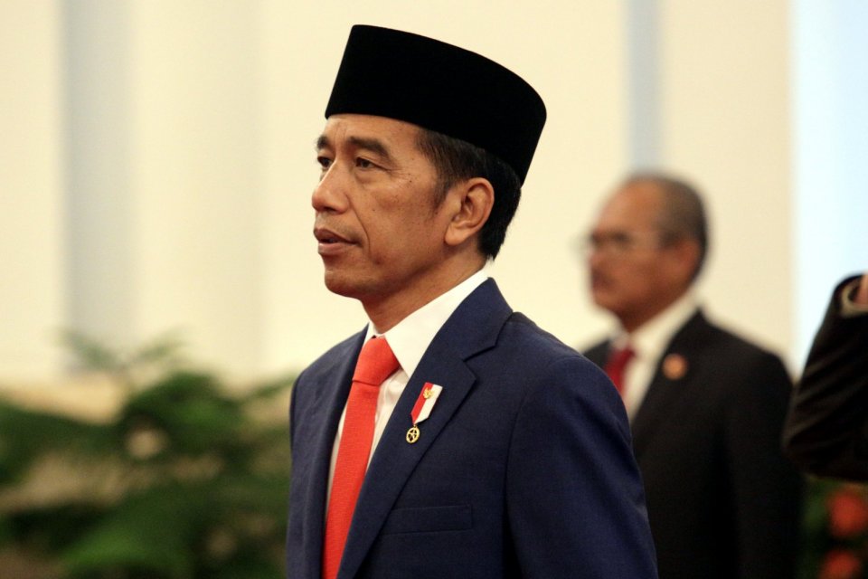 wakil menteri, 12 wamen dilantik, jokowi