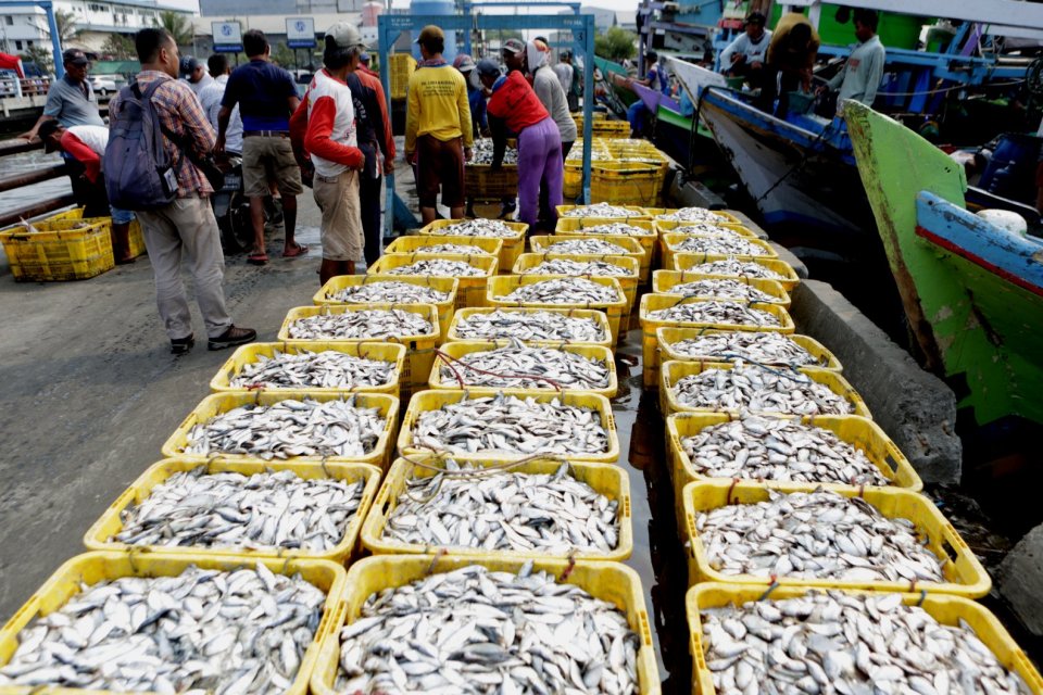 Pangkas Peran Tengkulak, KNTI Dorong Pelelangan Ikan Dikelola Nelayan.