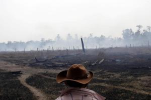 Brazil-Environment/Wildfires