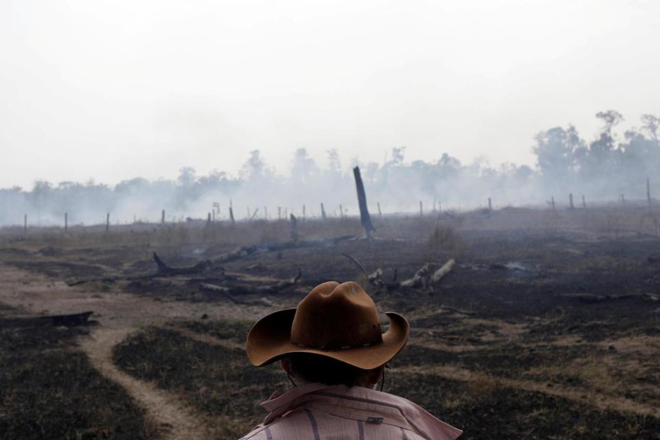 Avaci, 77, seorang buruh pertanian, berjalan di lahan yang masih panas setelah menjadi jalur api kebakaran hutan Amazon, dibersihkan sejumlah petani, di Rio Pardo, Rondonia, Brasil, Senin (16/9/2019).