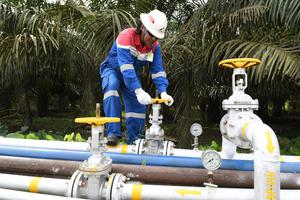 PRODUKSI MINYAK DAN GAS PT PERTAMINA EP ASSET 1 FIELD RANTAU