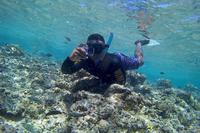 DESTINASI WISATA BUNAKEN