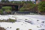 SUNGAI TERCEMAR LIMBAH