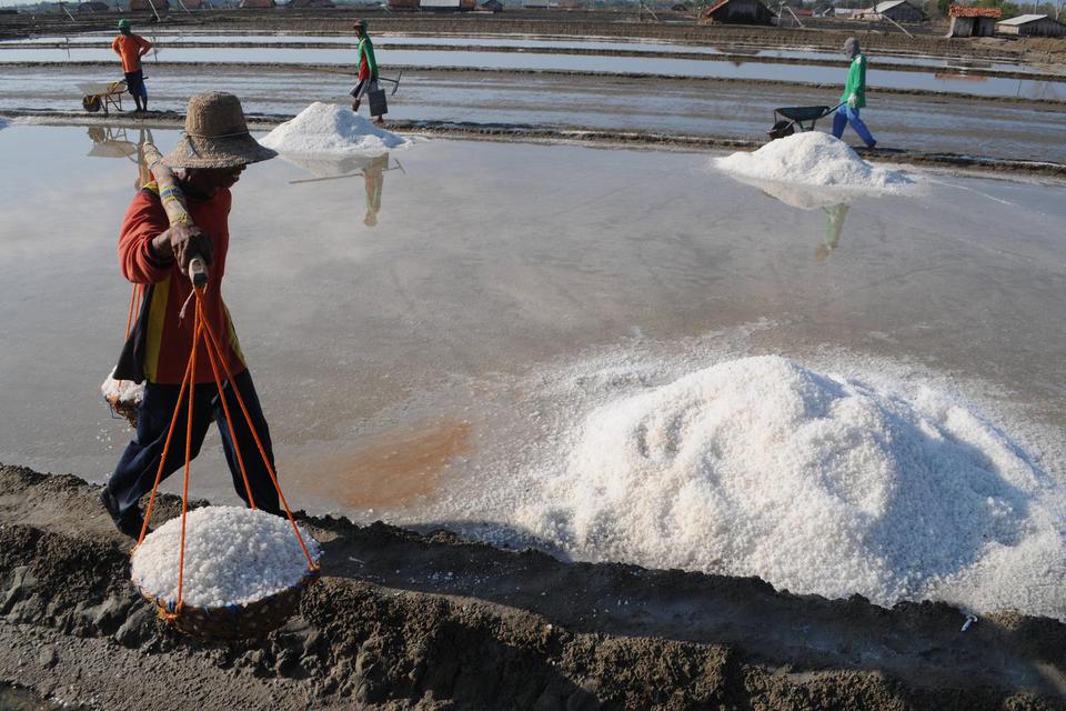 Pekerja mengangkut garam saat panen. Pemerintah tengah mendorong mendorong industri untuk menyerap garam nasional. 