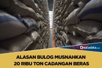 Beras Bulog