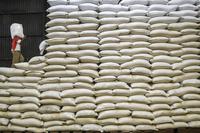 BULOG BERENCANA MENJUAL MURAH CADANGAN BERAS