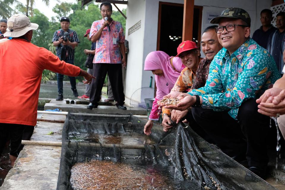 Edhy Prabowo, udang, KKP