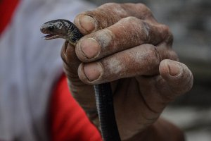 10 Foto Pilihan Pekan Ketiga Desember 2019