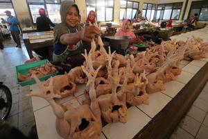 HARGA DAGING AYAM NAIK JELANG NATAL