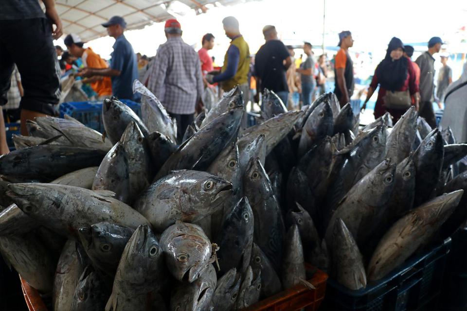Terpukul Corona, Pengusaha dan Nelayan Mulai Kesulitan Menjual Ikan.