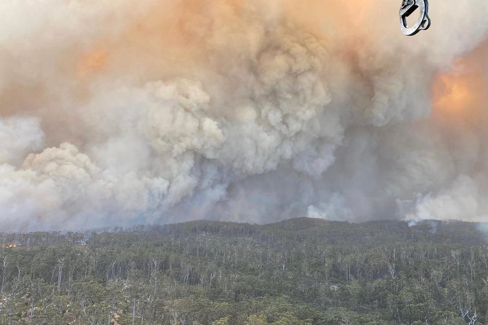 Ilustrasi. Kebakaran hutan di Australia.