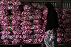 HARGA BAWANG MERAH DAN PUTIH NAIK DRASTIS