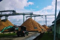 Pengolahan produk kayu PT Toba Pulp Lestari di Porsea, Kabupaten Toba Samosir, Sumatera Utara