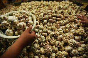 HARGA BAWANG PUTIH NAIK