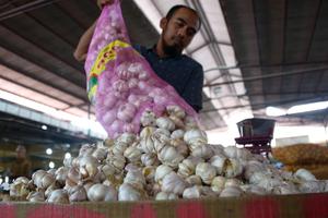 PEMERINTAH KELUARKAN IZIN IMPOR BAWANG PUTIH