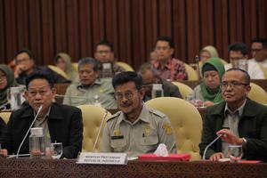 RDP MENTAN DENGAN KOMISI IV DPR