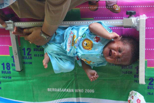 Petugas Posyandu mengukur tinggi badan balita sebelum pemberian vitamin di Posyandu Bougenvile, Ngawi, Jawa Timur, Selasa (25/2/2020). Pemberian zat gizi mikro dari Kementerian Kesehatan berupa vitamin A bagi balita dan suplemen penambah darah bagi ibu ha