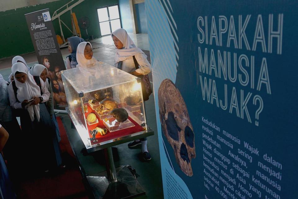 manusia purba di Indonesia