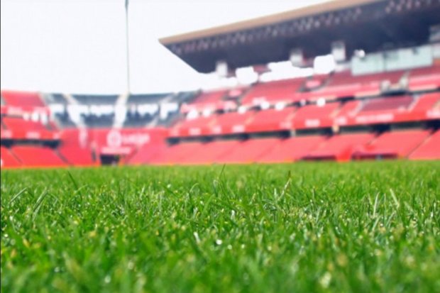 Rumput dari markas Granada CF, Nuevo Los Carmenes