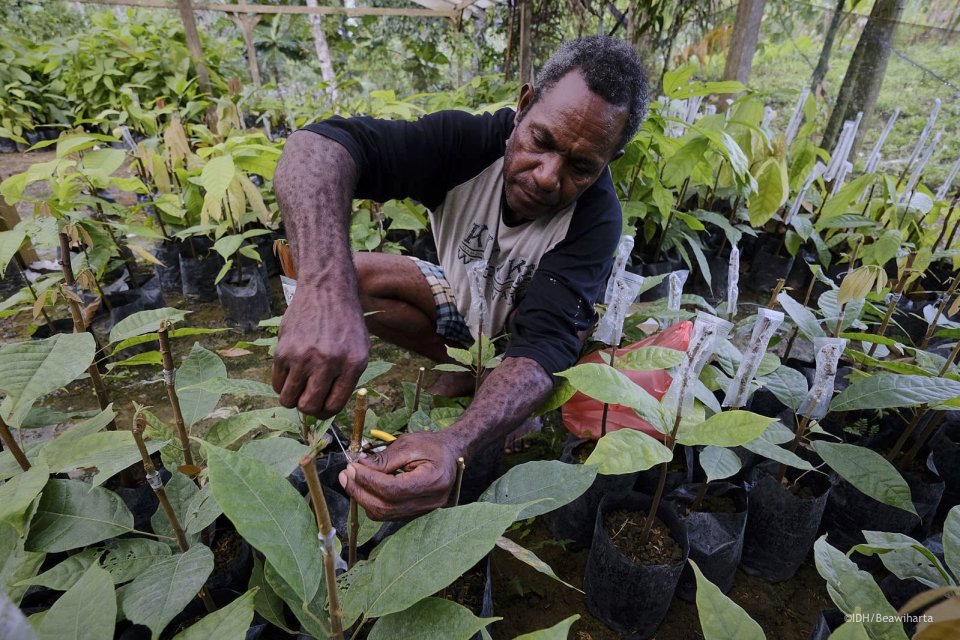 Menkop Bakal Konsolidasikan Petani dan Nelayan Papua Lewat Koperasi.