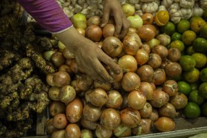 Kenaikan Harga Bawang Bombay