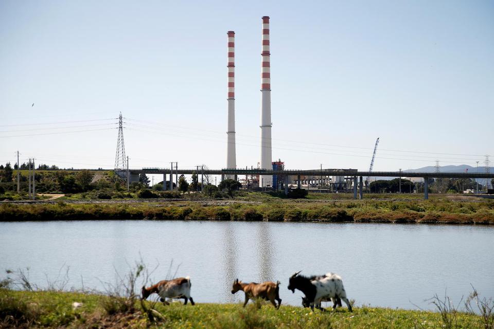 Rafael Marchante Kambing memakan rumput dengan latar belakang cerobong setinggi 200m di sebuah pusat termoelektrik EDP, yang dijadwalkan akan diledakkan di Setubal, Portugal, Sabtu (7/3/2020).