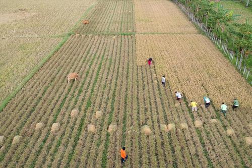 KENAIKAN HARGA BERAS DI GORONTALO