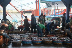 NELAYAN KESULITAN PASARKAN IKAN