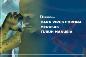Cara Virus Corona Merusak Tubuh Manusia