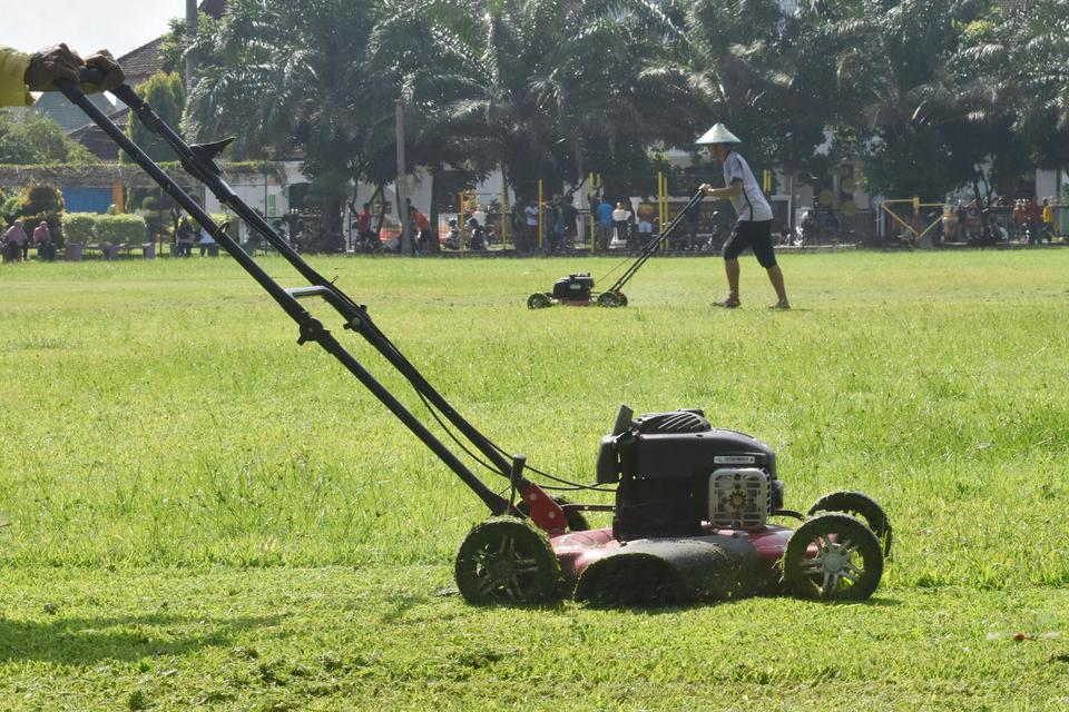 ciri-ciri daerah dataran rendah Indonesia