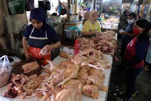 HARGA AYAM POTONG KEMBALI NORMAL