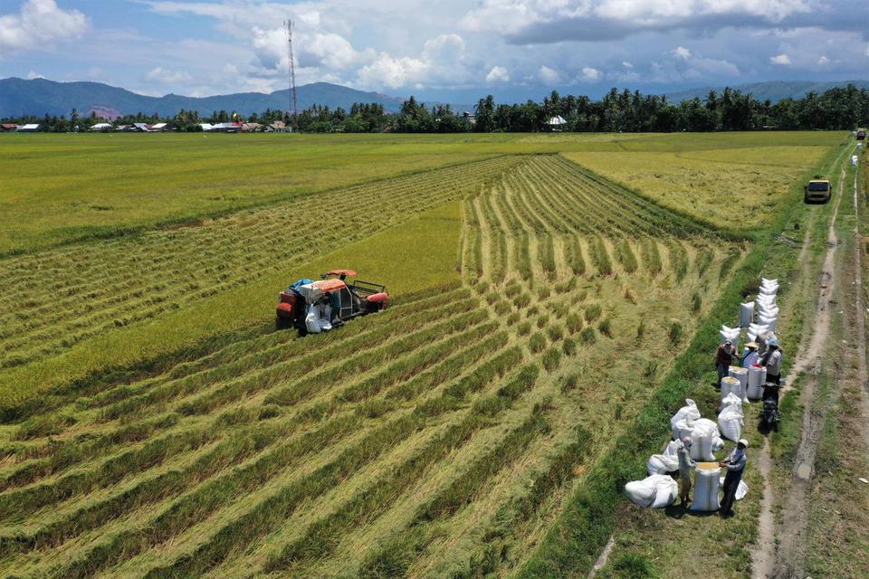 Ilustrasi, petani menggarap sawah. Demi mengantisipasi kekeringan dan krisis pangan Presiden Joko Widodo (Jokowi) minta pembukaan lahan persawahan baru, di antaranya lahan gambut dan lahan BUMN.