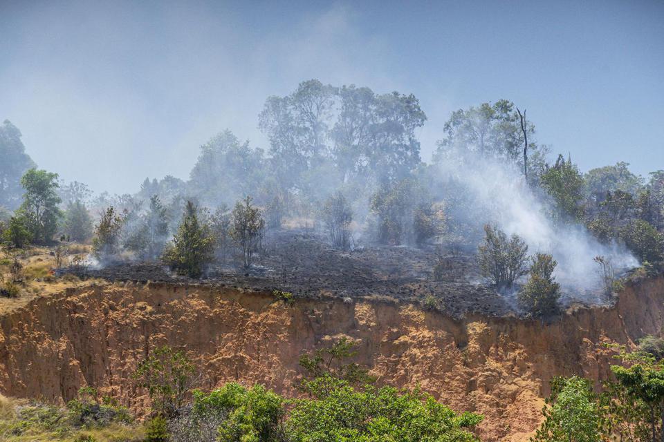Ilustrasi, kebakaran hutan dan lahan (karhutla). Kementerian Lingkungan Hidup dan Kebakaran (KLHK) akan melakukan modifikasi cuaca hingga awal 2021 untuk mengantisipasi risiko kebakaran hutan dan lahan.